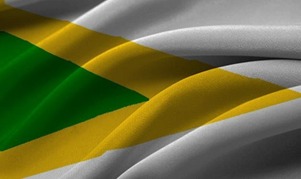 Bandera de la Institución